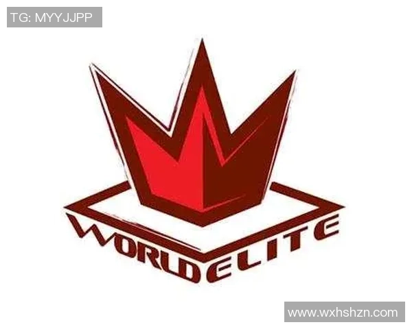 深入探讨WE战队成员个人能力的全面对比与分析