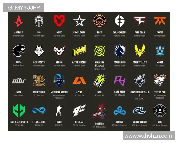 S15LOL赛事中WE战队荣登CSGO战术排行榜第八位引发热议